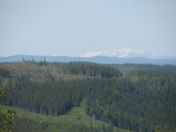 Fjällnära vindkraft